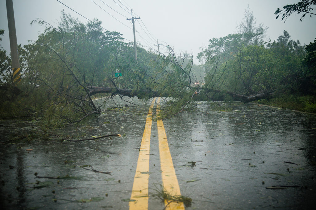 States of Emergency How to Respond and Assist