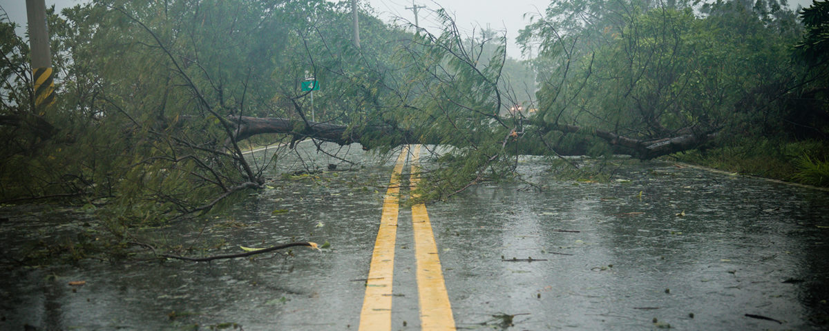States of Emergency How to Respond and Assist