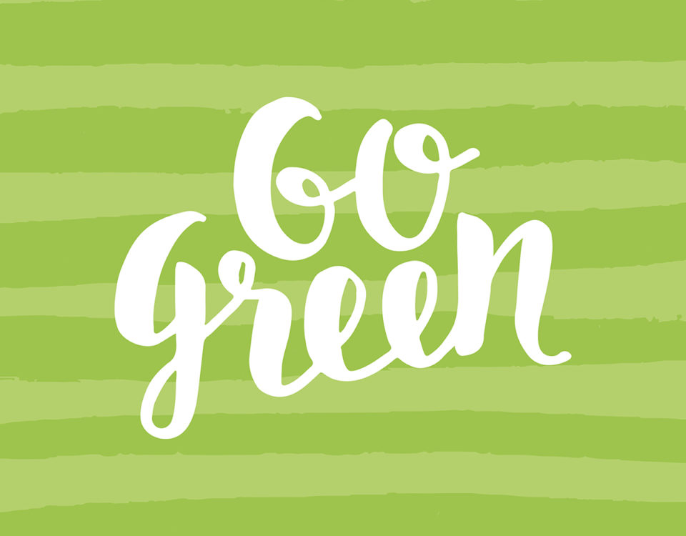 How to Design a Green Workplace