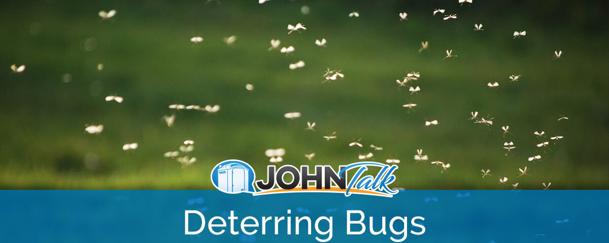 A swarm of bugs flying around outside