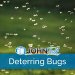 A swarm of bugs flying around outside