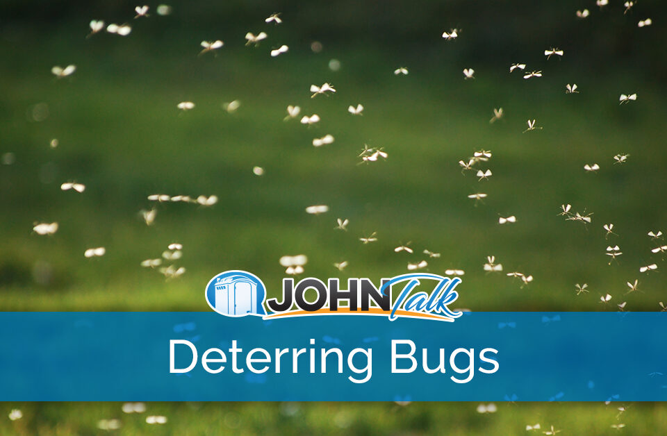 A swarm of bugs flying around outside